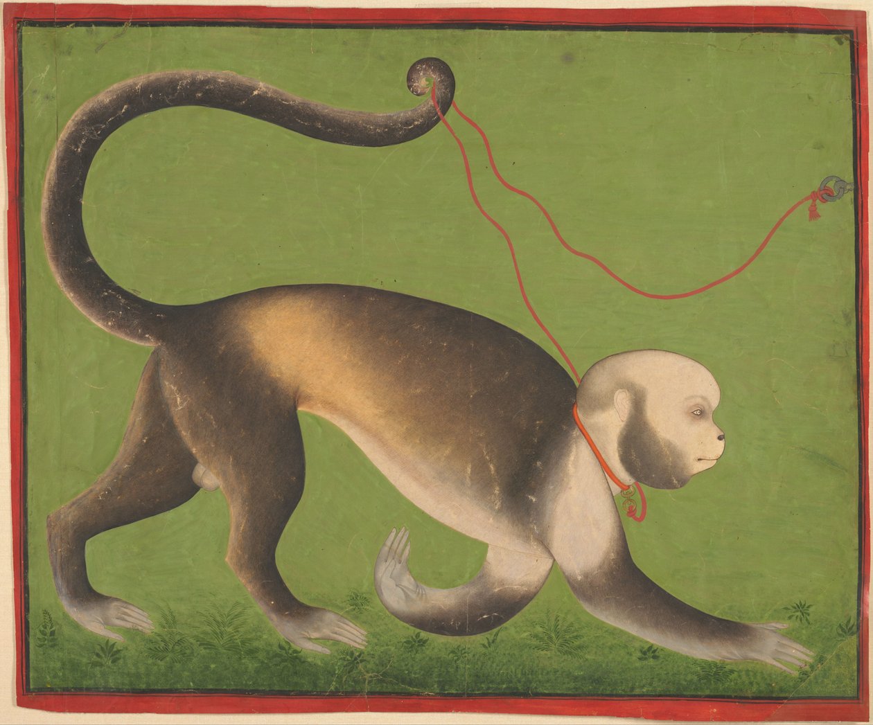 Et monumentalt portrett av en ape av Mewar India; Rajasthan