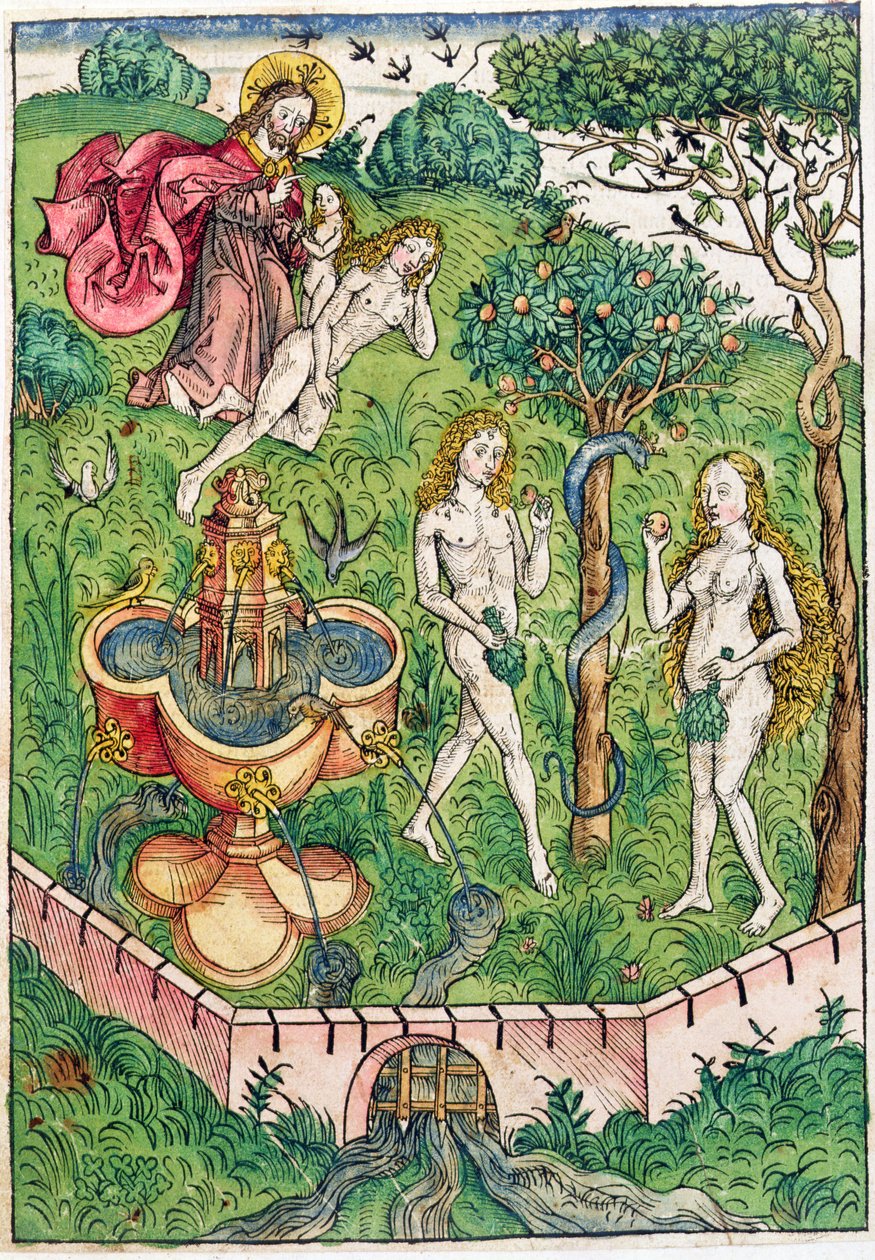 Skapelsen og fristelsen til Adam og Eva, fra "Skatten, eller mottakeren av den sanne rikdommen til frelsen til evig saligprisning" av Koberger, utgitt i Nuernberg, 1491 (fargetresnitt) av Michael Wolgemut