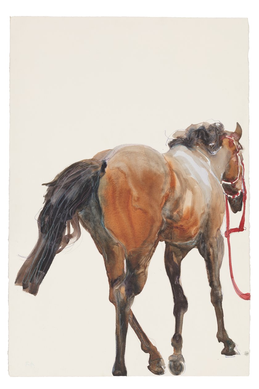 Uten tittel, 2018 (akvarell på papir) av Michael Frith