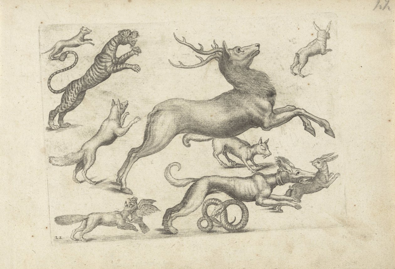 Studieark med tegningseksempler: ulike dyr av Michael Snijders (attributed to)