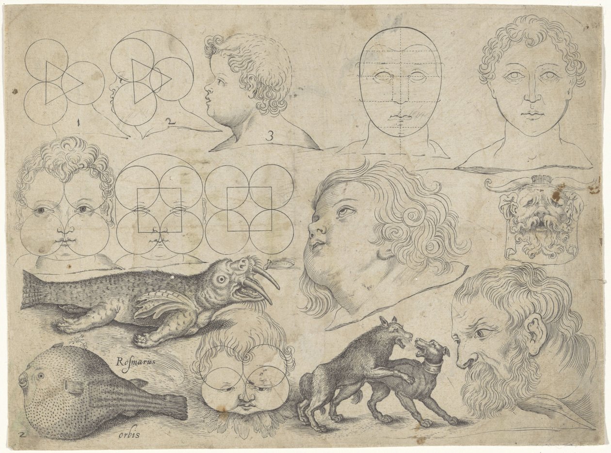 Studieark med tegningseksempler: figurer, dyr Tegningseksempler (serietittel) av Michael Snijders