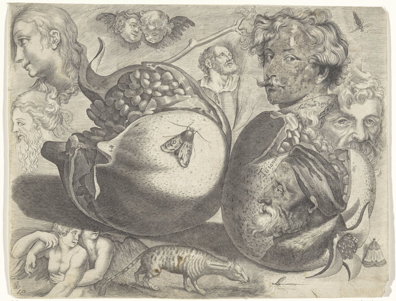 Studieark med tegningseksempler: hoder, figurer, frukt, dyr Tegningseksempler (serietittel) av Michael Snijders