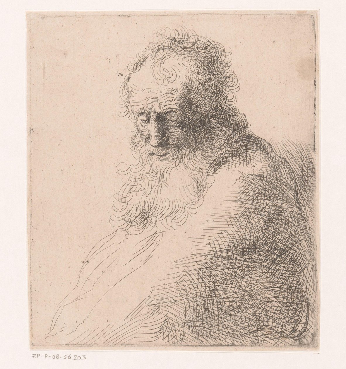 Byste av en gammel mann med skjegg av Michael Willmann (attributed to)