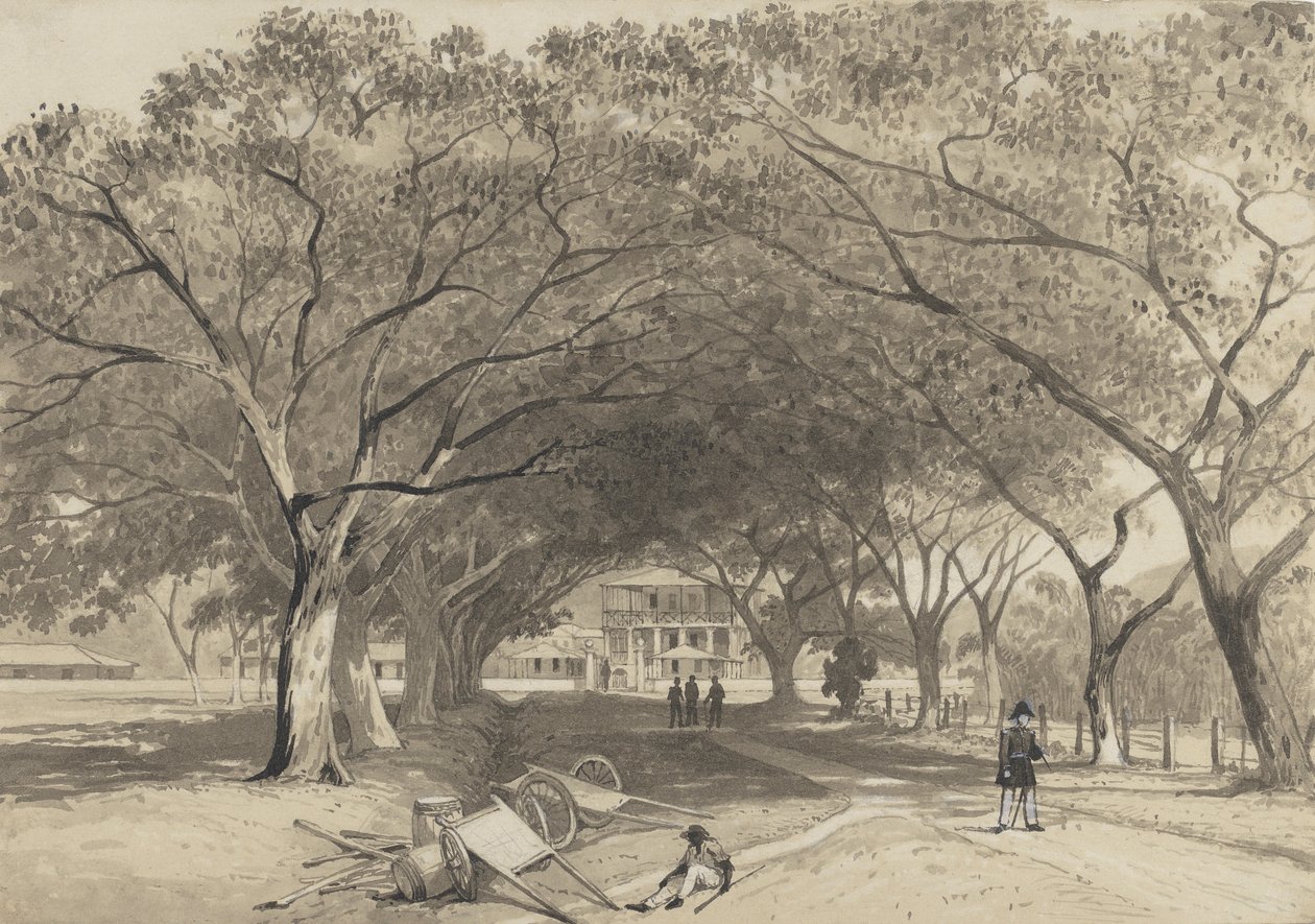 Avenue og inngangen til St. James Barracks av Michel Jean Cazabon