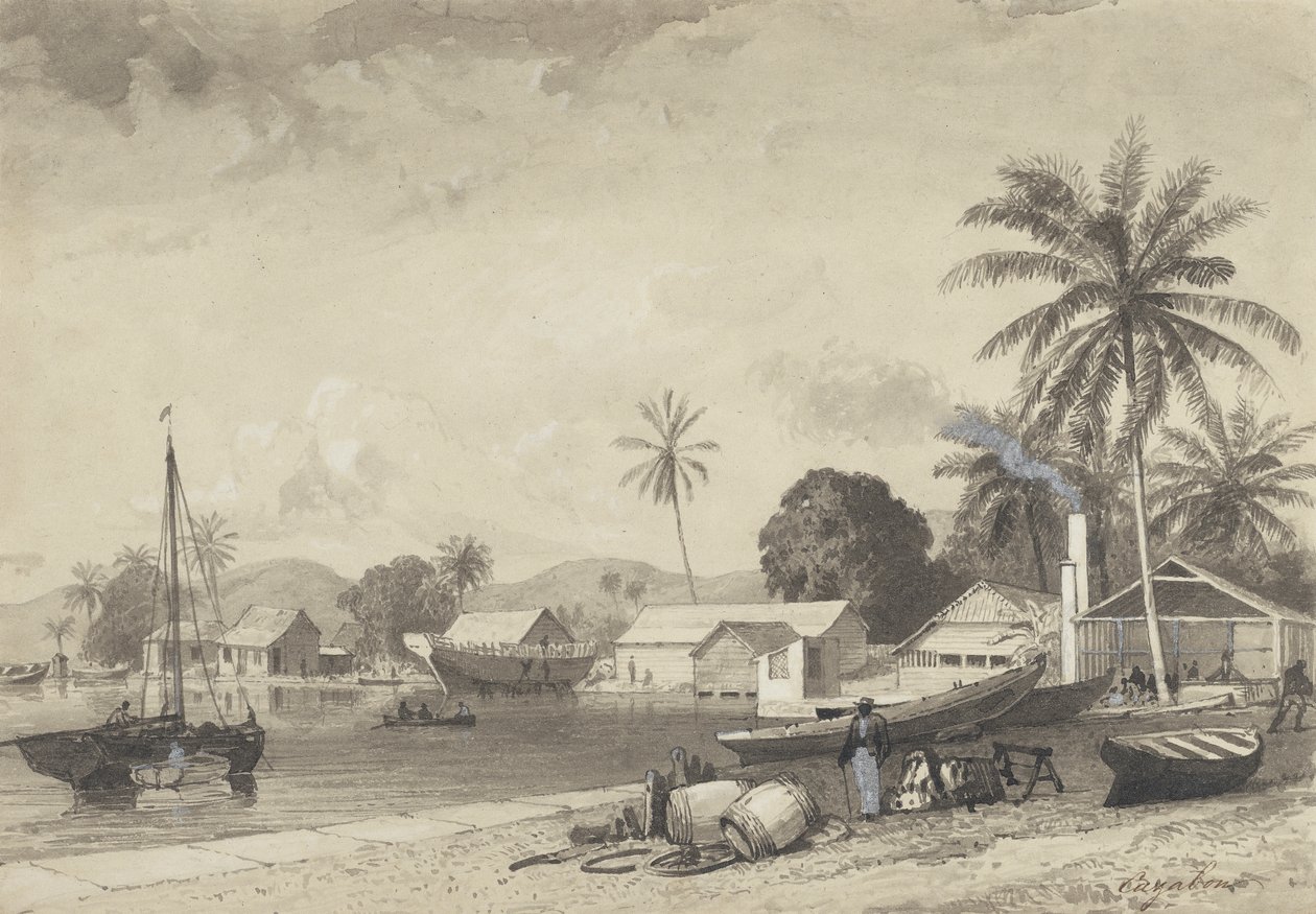 Corbeaux Town, Port of Spain av Michel Jean Cazabon