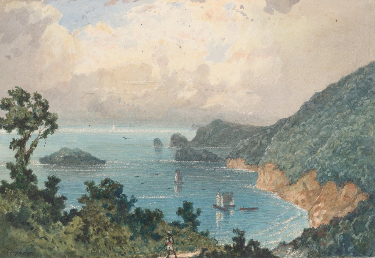 Nordkysten av Trinidad, fra Nordposten av Michel Jean Cazabon