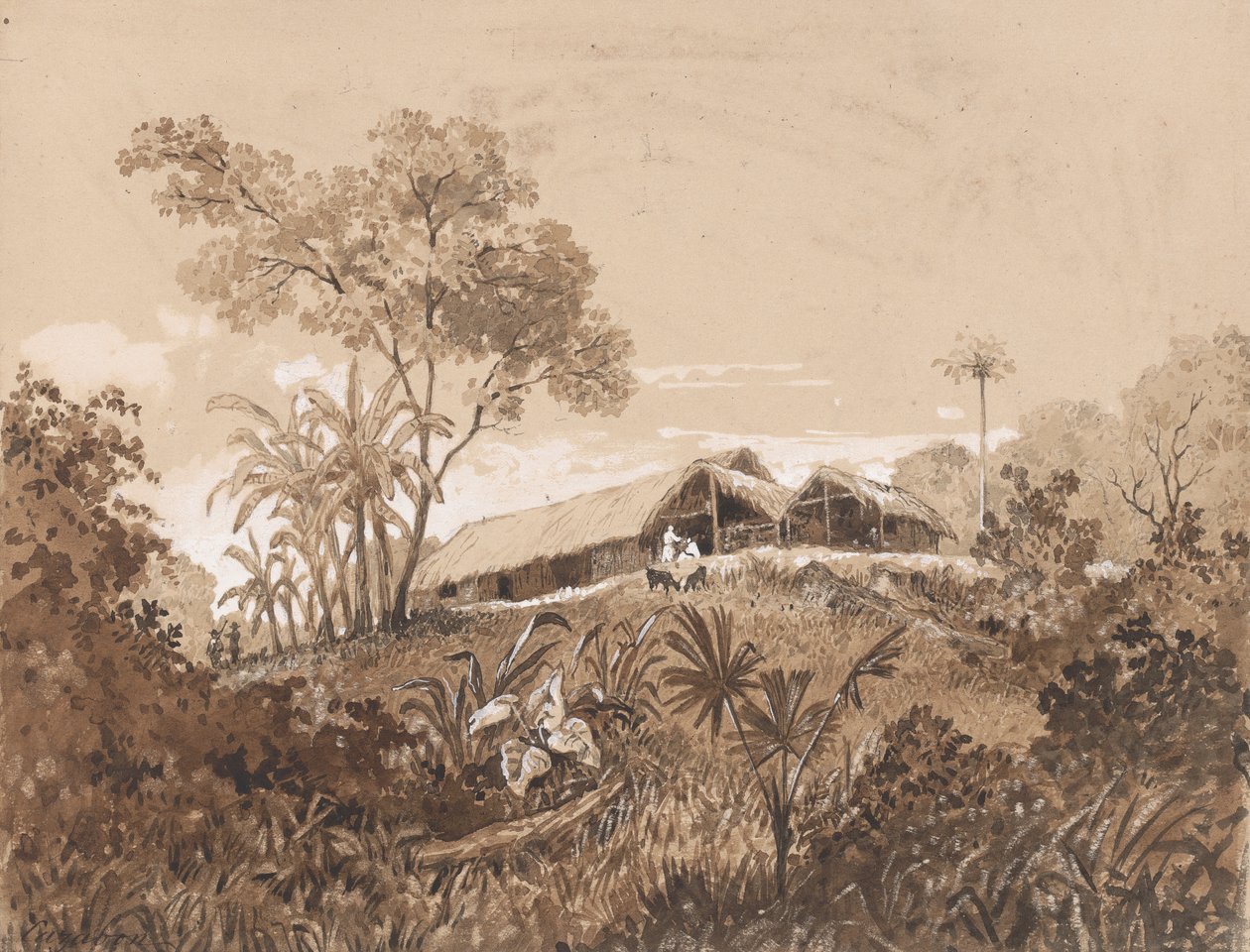 Hytta, Mount Tamana av Michel Jean Cazabon