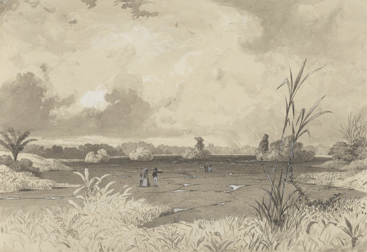 The Pitch Lake av Michel Jean Cazabon
