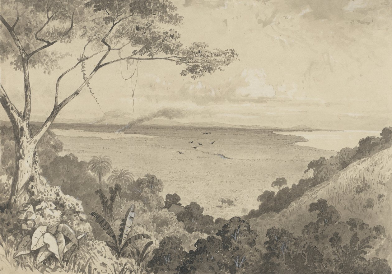 Utsikt fra Laventille Hill av Michel Jean Cazabon
