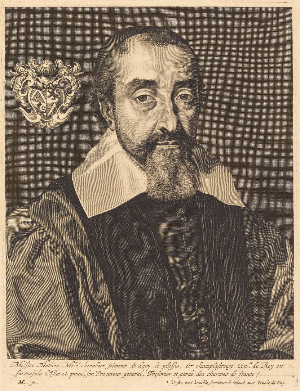 Matthew Mole av Michel Lasne