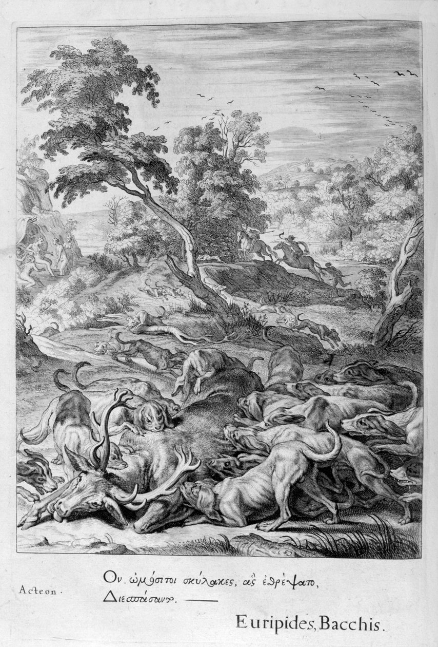 Actaeon ble til en hjort og slukte av sine hunder, 1655 av Michel de Marolles