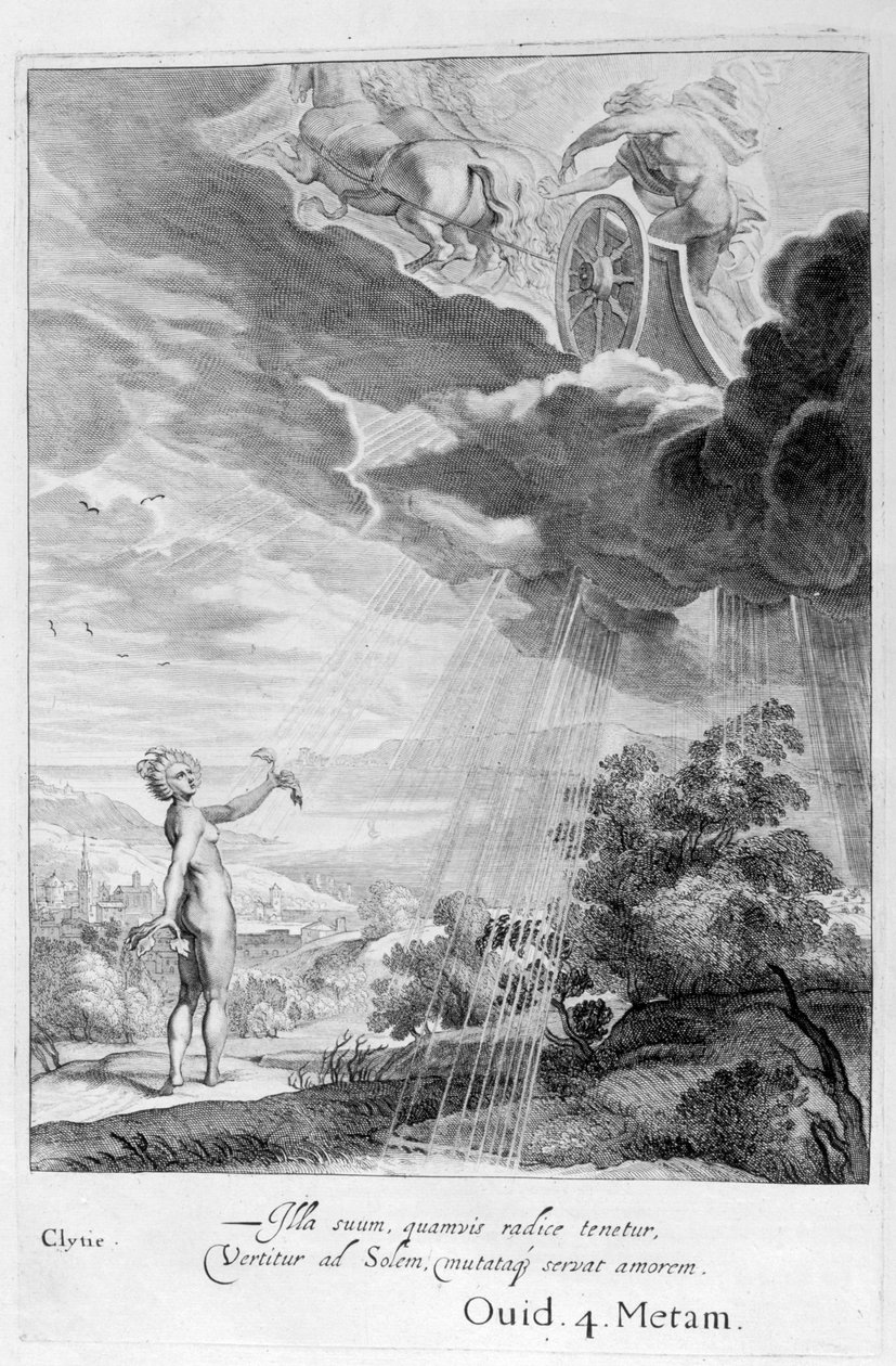 Clytie forvandlet til en solsikke, 1655 av Michel de Marolles