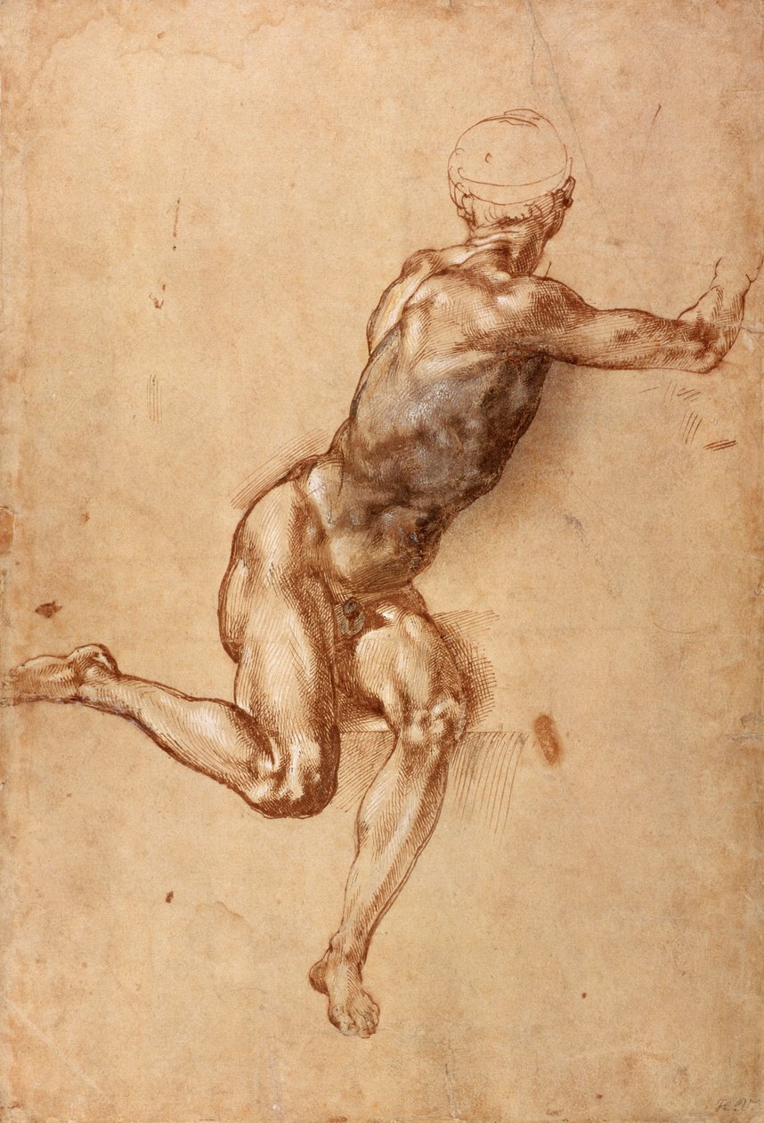 En sittende nakenmann som vrir seg rundt, ca. 1505 (penn og blekk med vask på papir) av Michelangelo Buonarroti