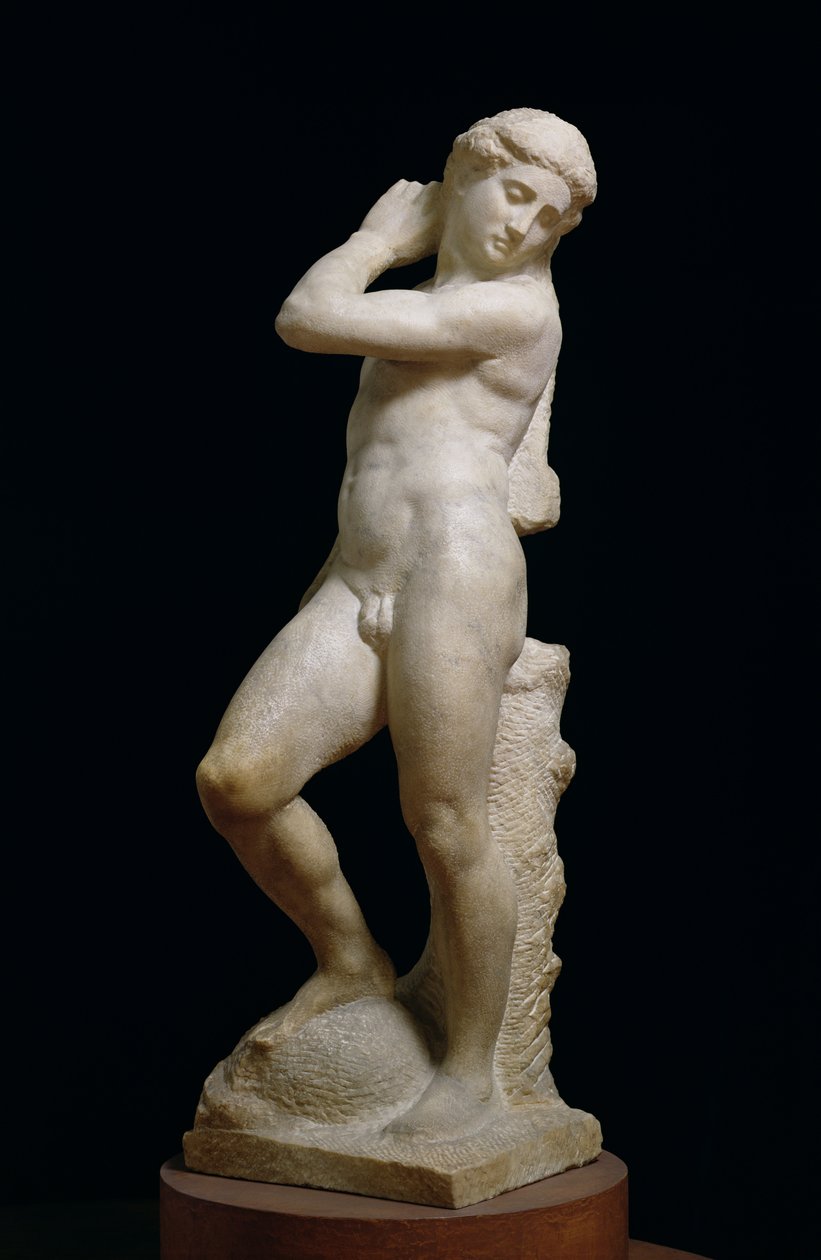Apollo, eller David, ca. 1530 (marmor) (se også 79843 og 230332) av Michelangelo Buonarroti
