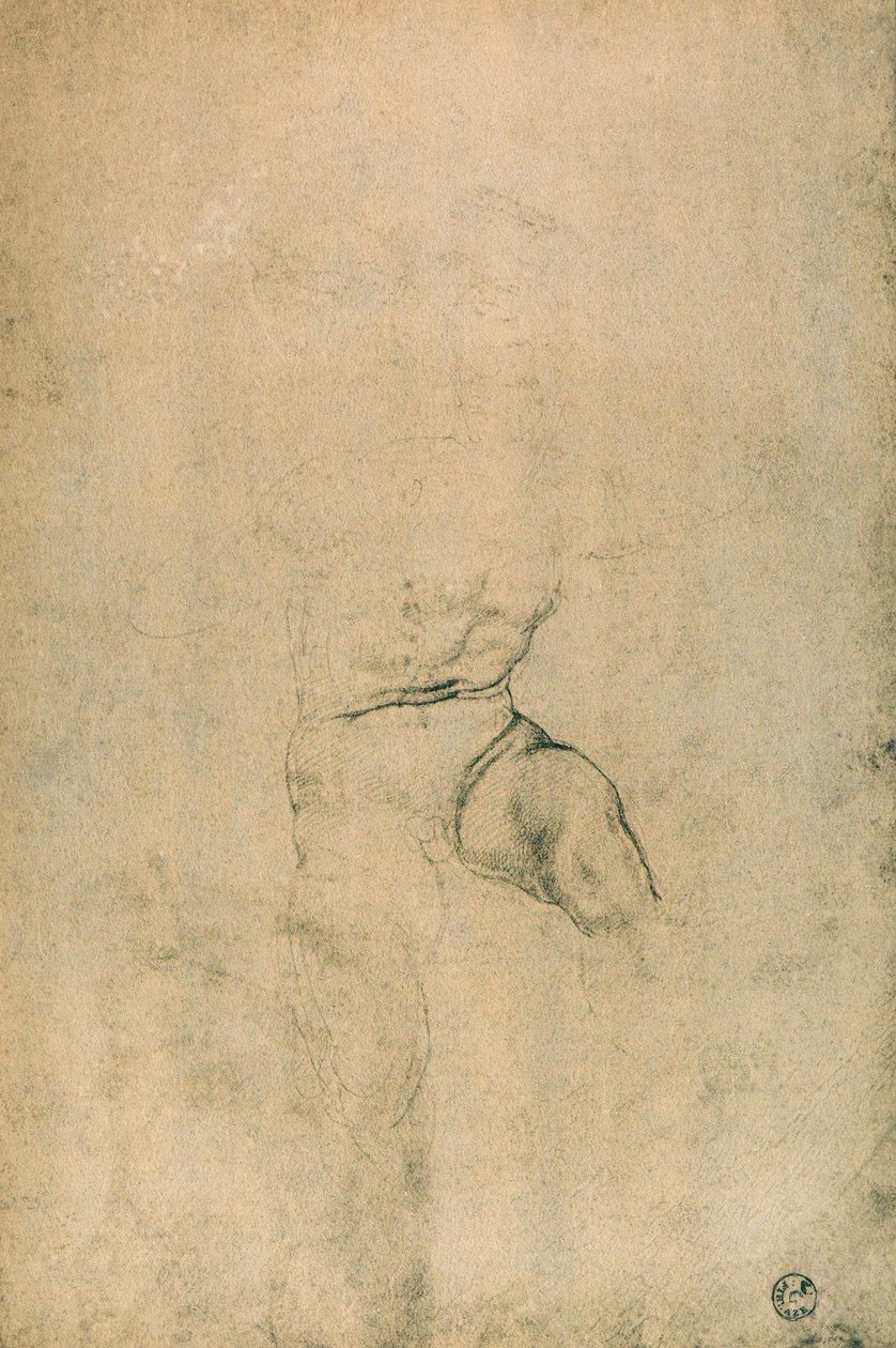 Naken mann, studie av Michelangelo. Cabinet of Drawings and Prints, Uffizi Gallery, Firenze av Michelangelo Buonarroti