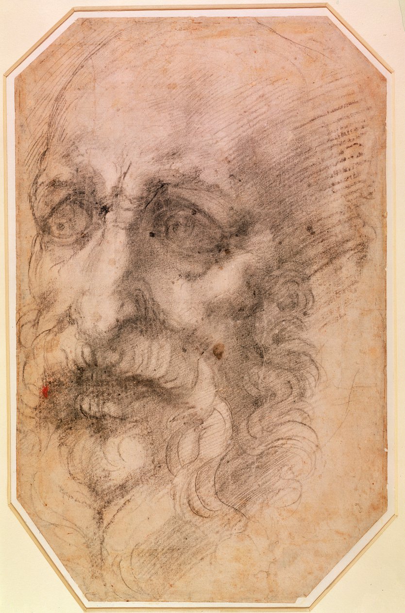 Portrett av en skjegget mann (svart kritt på papir) (recto) (for verso se 191768) av Michelangelo Buonarroti
