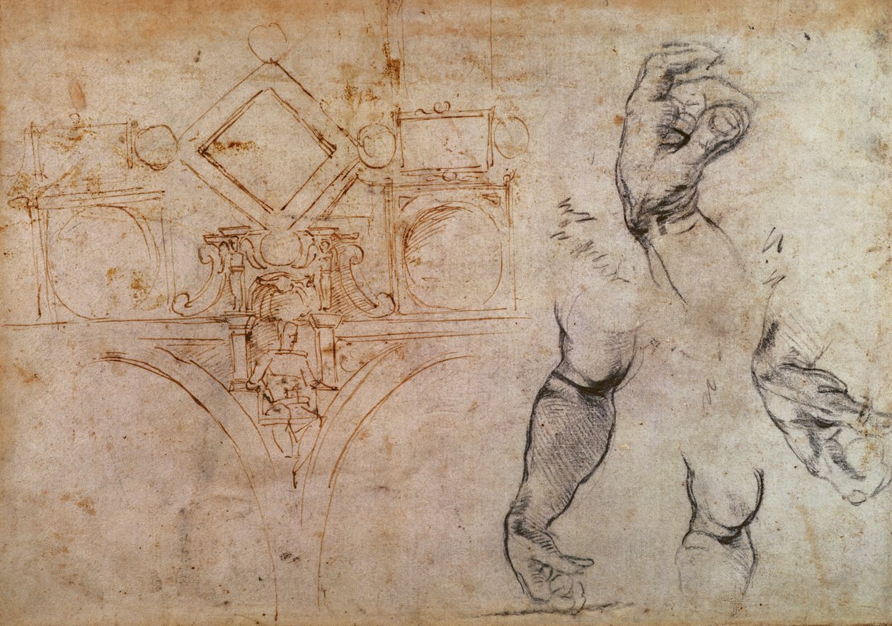 Plan for det sixtinske kapells tak, ca. 1508 (penn og blekk og kritt på papir) av Michelangelo Buonarroti