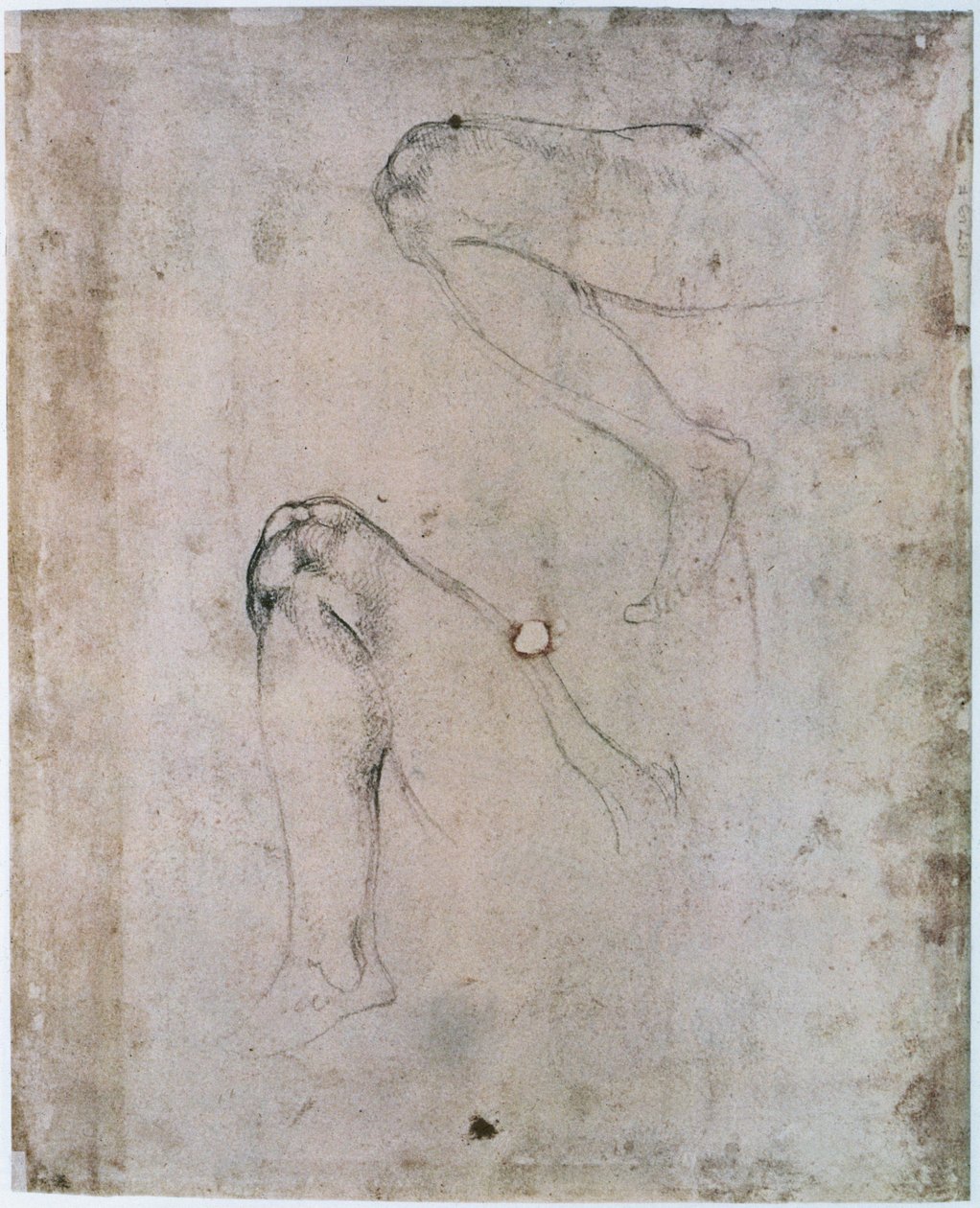 Det sixtinske kapells tak (1508-12): To skisser av høyre ben til Eva fra scenen til The Original Sin (kull på papir) av Michelangelo Buonarroti