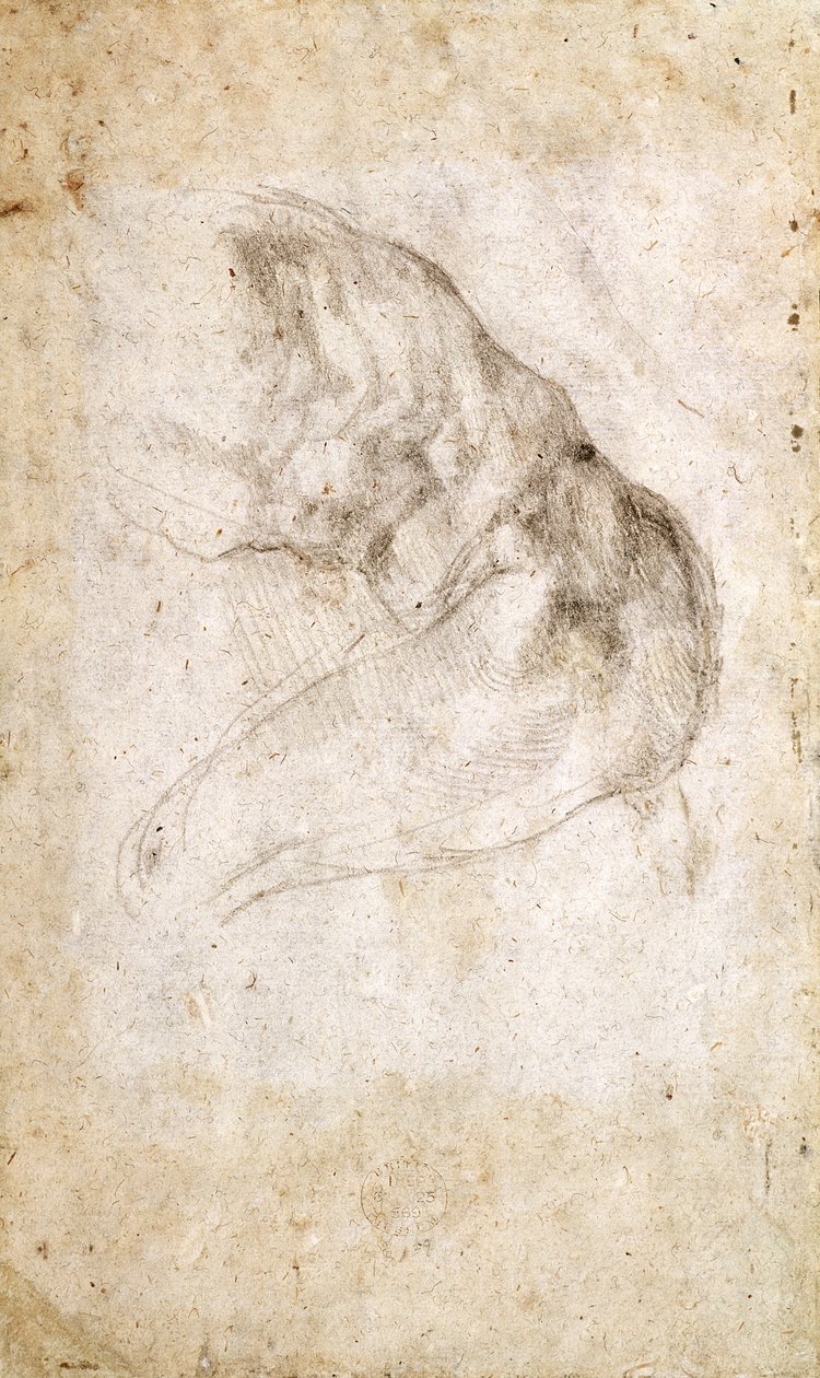 Studie for The Creation of Adam (svart kritt på papir) (verso) (for recto se 191766) av Michelangelo Buonarroti