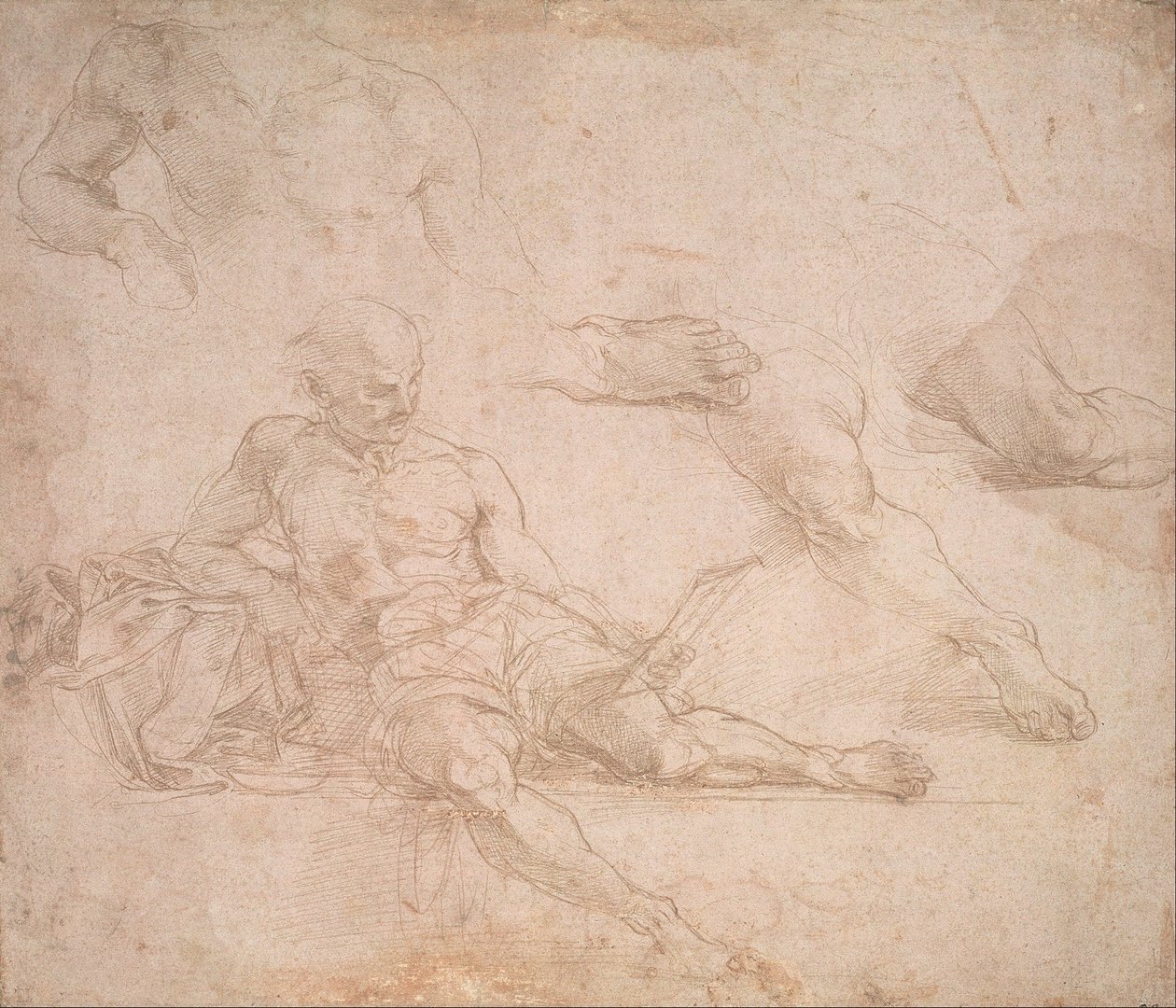 Studer for figuren Diogenes i Athenskolen av Michelangelo Buonarroti