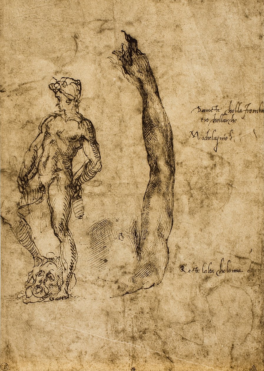Studer for statuen av David; tegning av Michelangelo. Louvre, Paris av Michelangelo Buonarroti