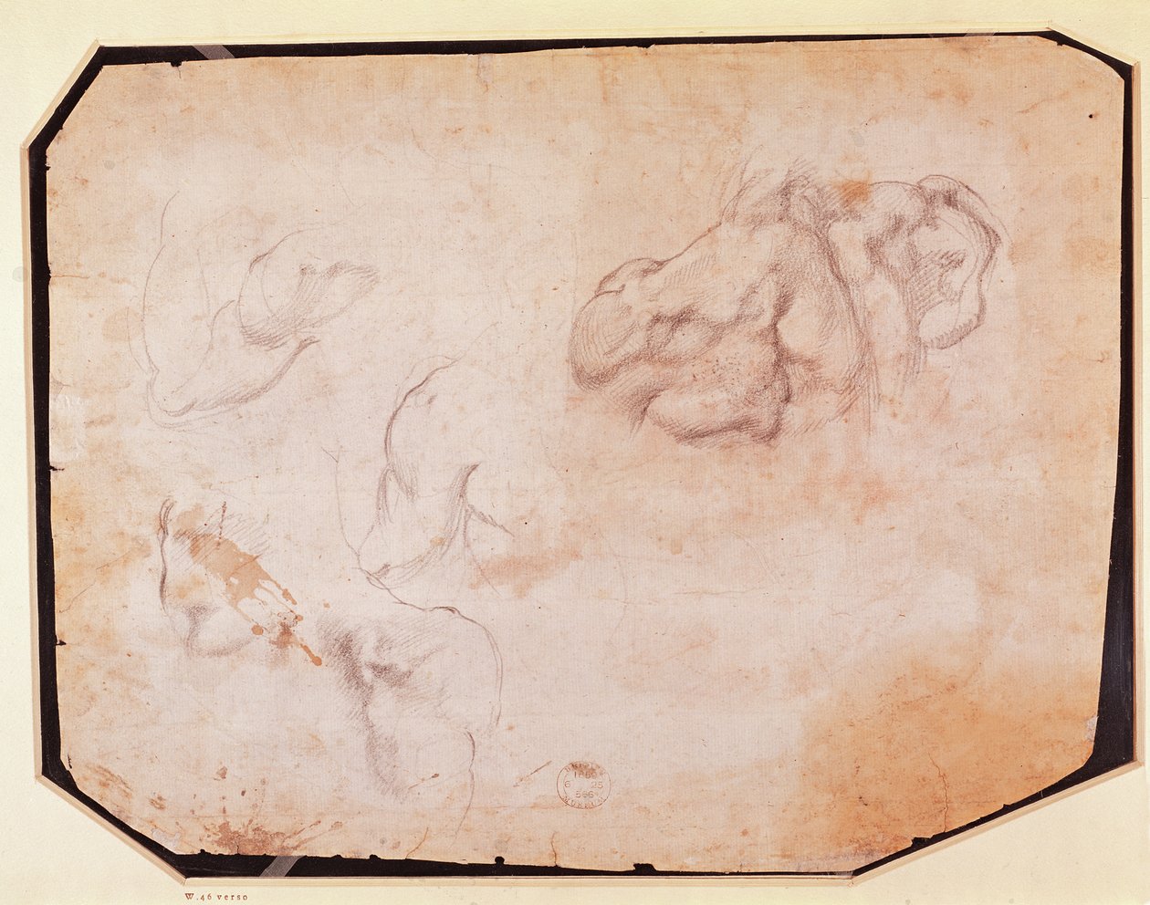 Studie av muskler (verso) (for recto se 191769) av Michelangelo Buonarroti