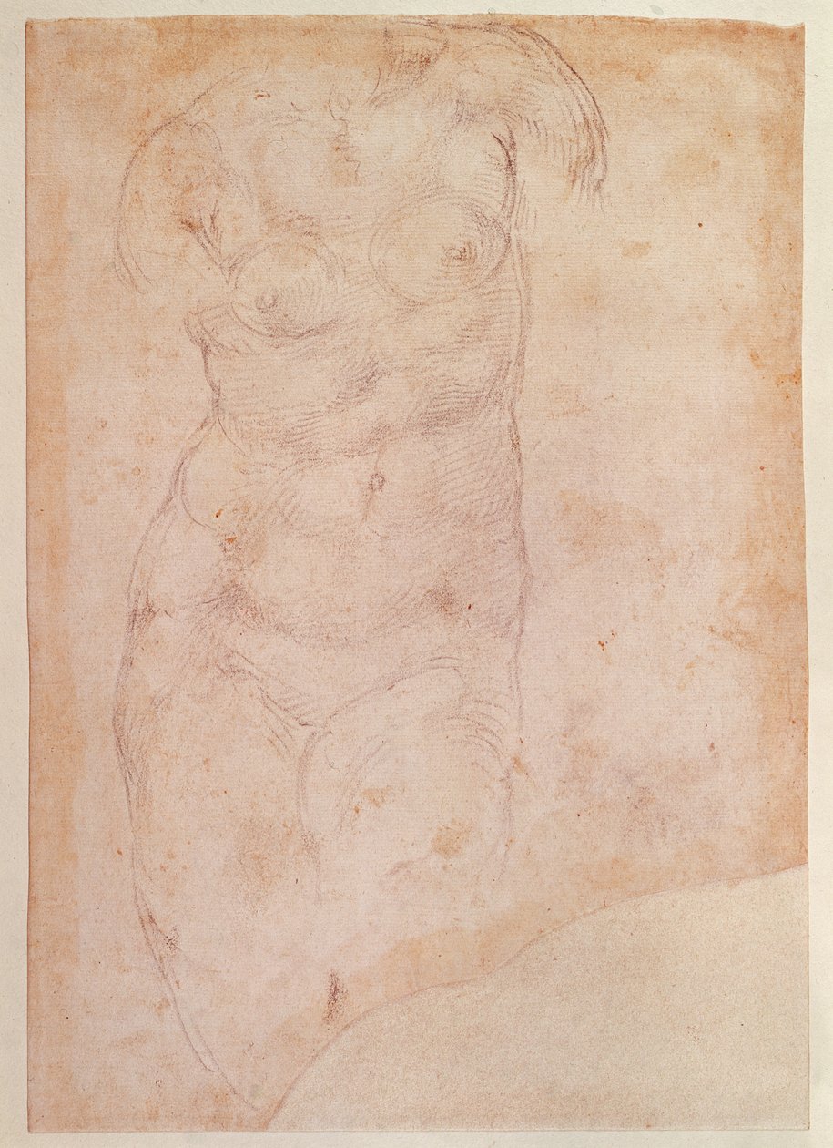 Studie av en naken kvinne av Michelangelo Buonarroti