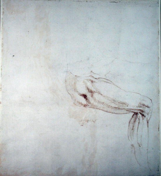 Studie av et ben med notater (brunt blekk på papir) (recto) av Michelangelo Buonarroti