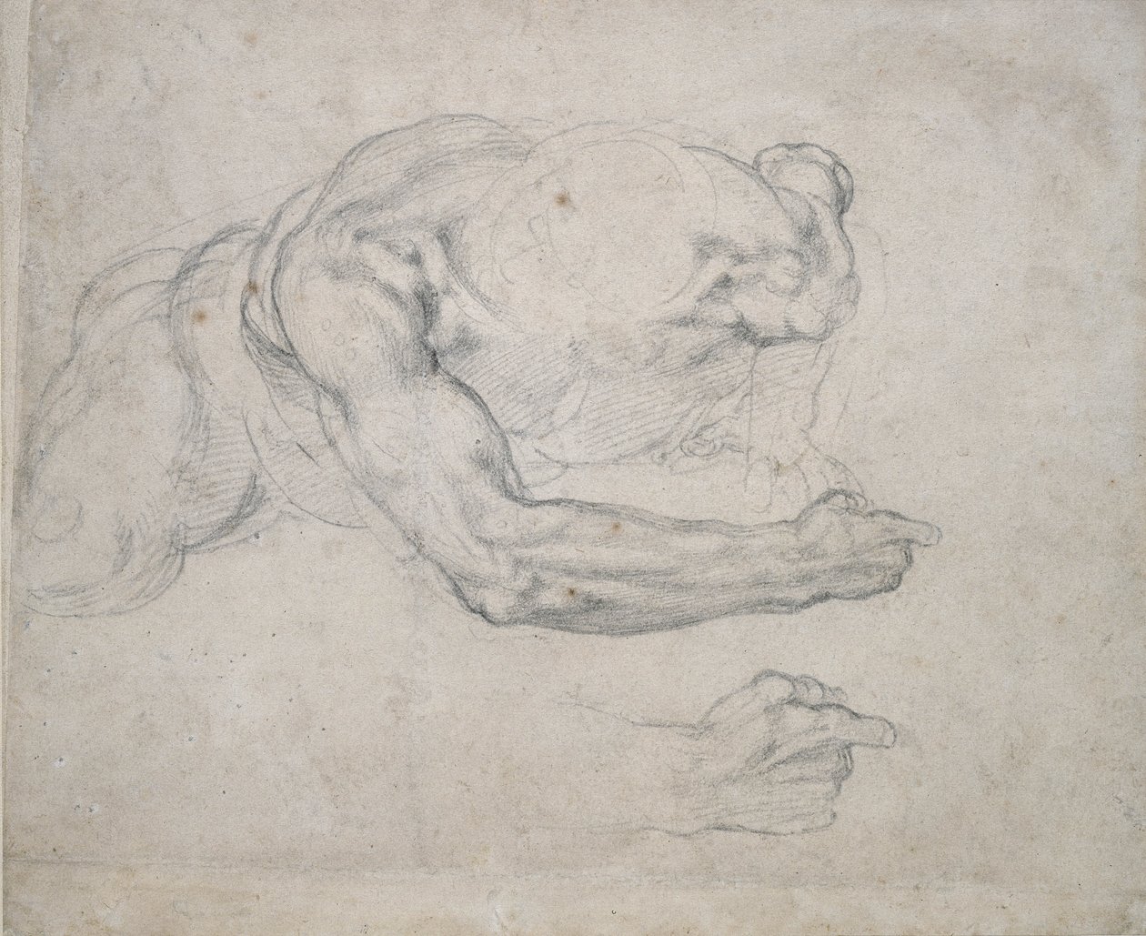 Studie av en mann som reiser seg fra bakken (svart kritt på off-white papir) av Michelangelo Buonarroti