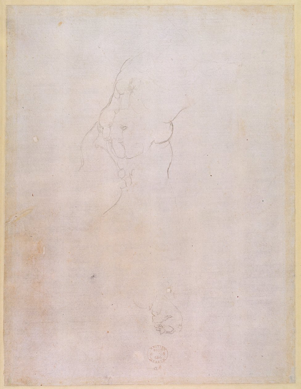 Studie av en mannlig torso (verso) (for recto se 192512) av Michelangelo Buonarroti