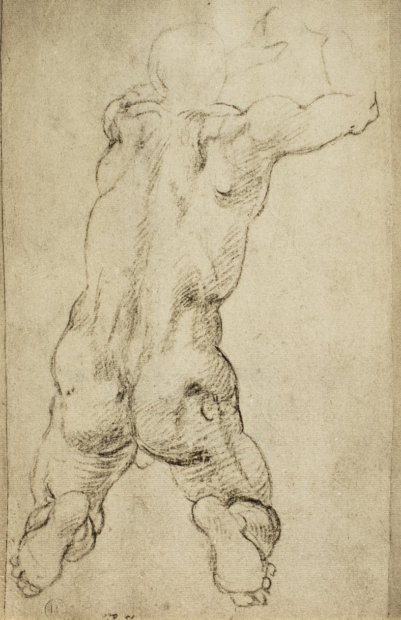 Studie av en viril figur: tegning av Michelangelo. Casa Buonarroti, Firenze av Michelangelo Buonarroti
