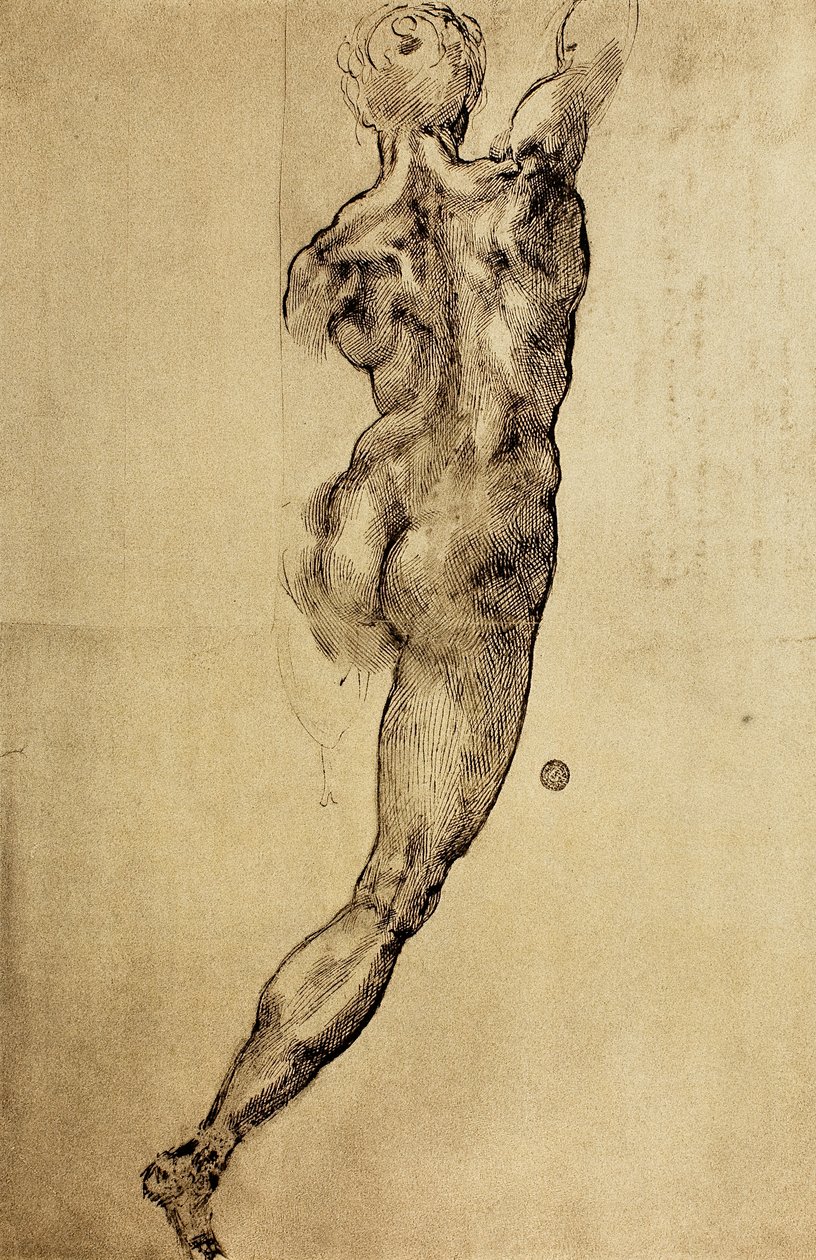 Studie av en viril figur sett fra baksiden, tegning av Michelangelo. Casa Buonarroti, Firenze av Michelangelo Buonarroti