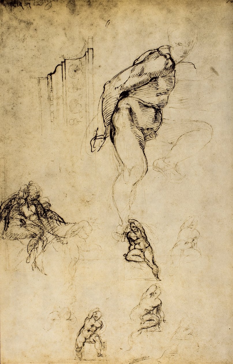 Studie av maskuline former, tegning av Michelangelo. Casa Buonarroti, Firenze av Michelangelo Buonarroti