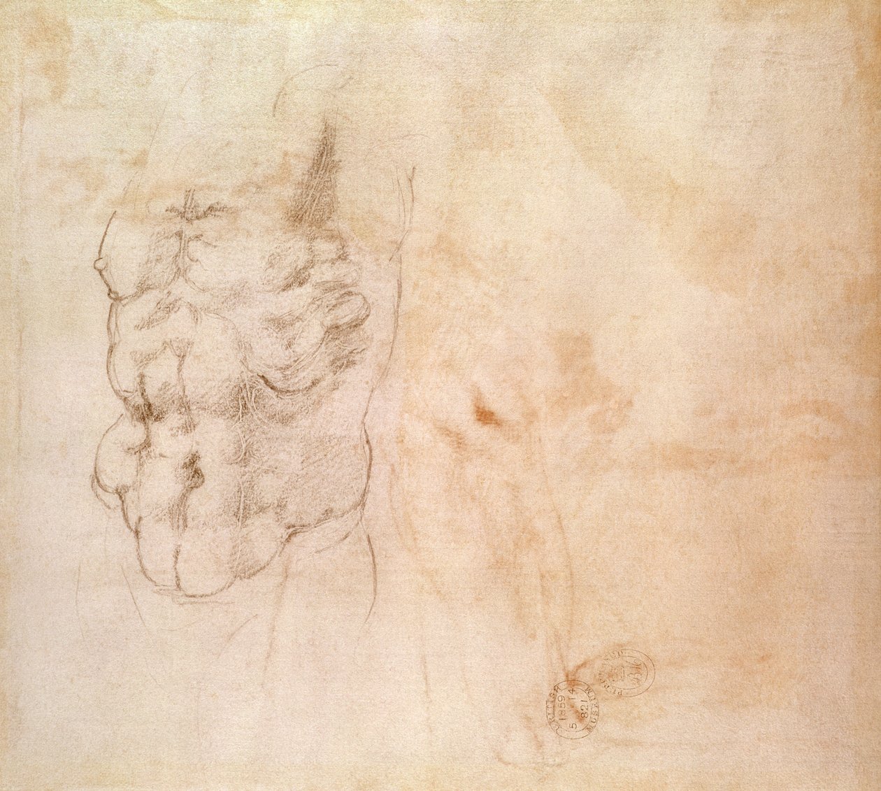 Torso Study (rødt og svart kritt på papir) av Michelangelo Buonarroti