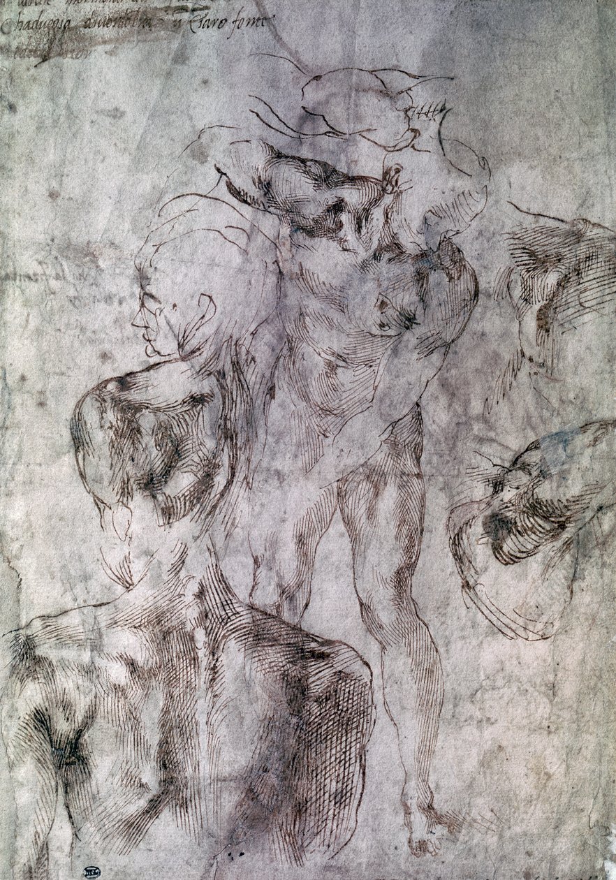 Ulike studier, verso av Study for David av Michelangelo Buonarroti