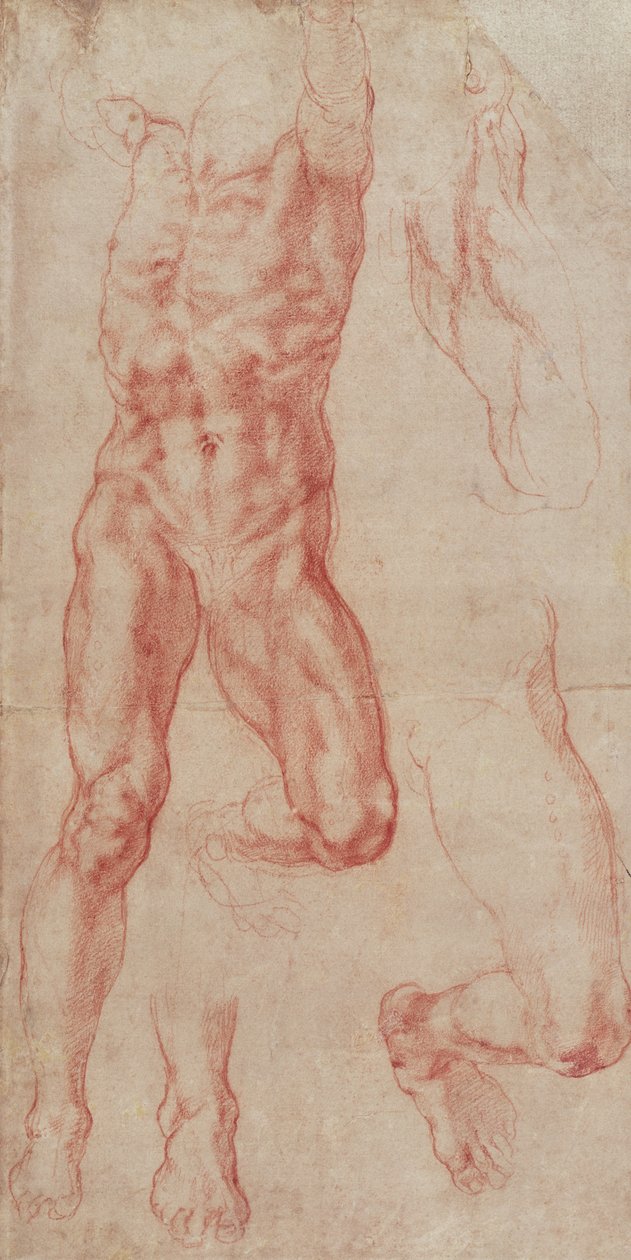 Studie av en mannlig naken som strekker seg oppover av Michelangelo Buonarroti
