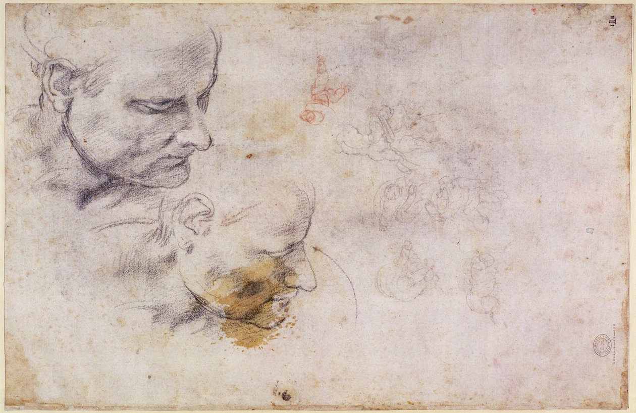 W.60 Skisse av et hannhode, i to posisjoner av Michelangelo Buonarroti