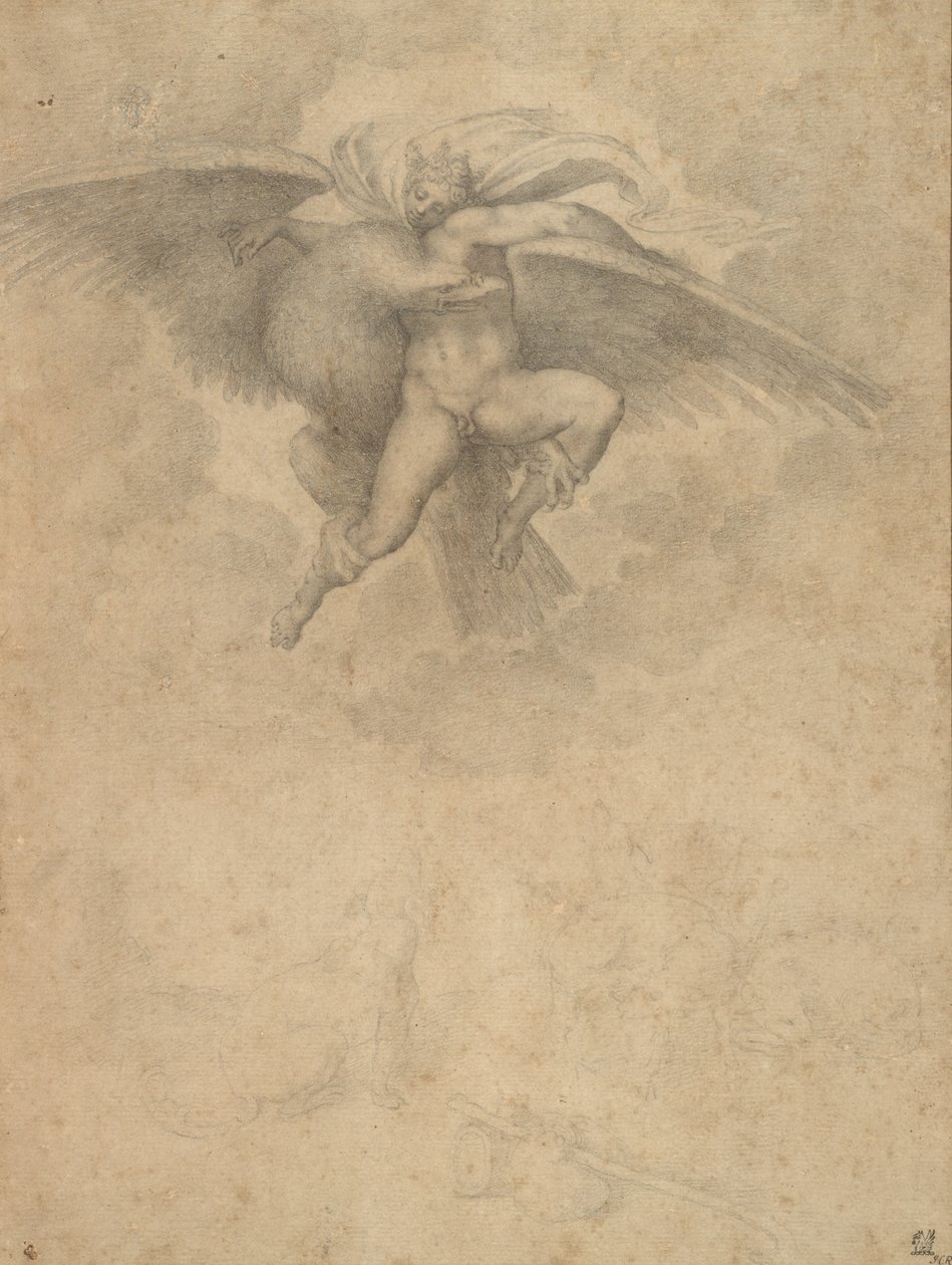Ganymede (svart kritt på papir) av Michelangelo after Buonarroti