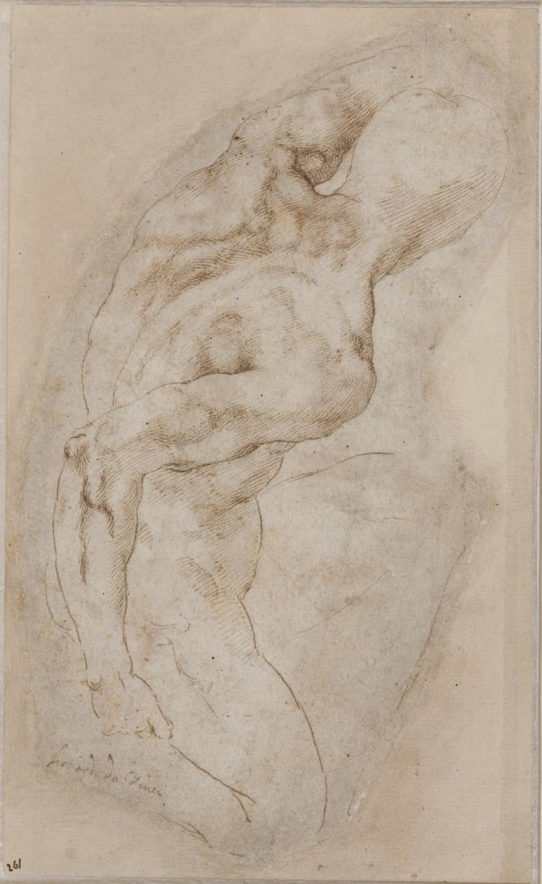 En knelende ungdom sett bakfra av Michelangelo Buonarroti