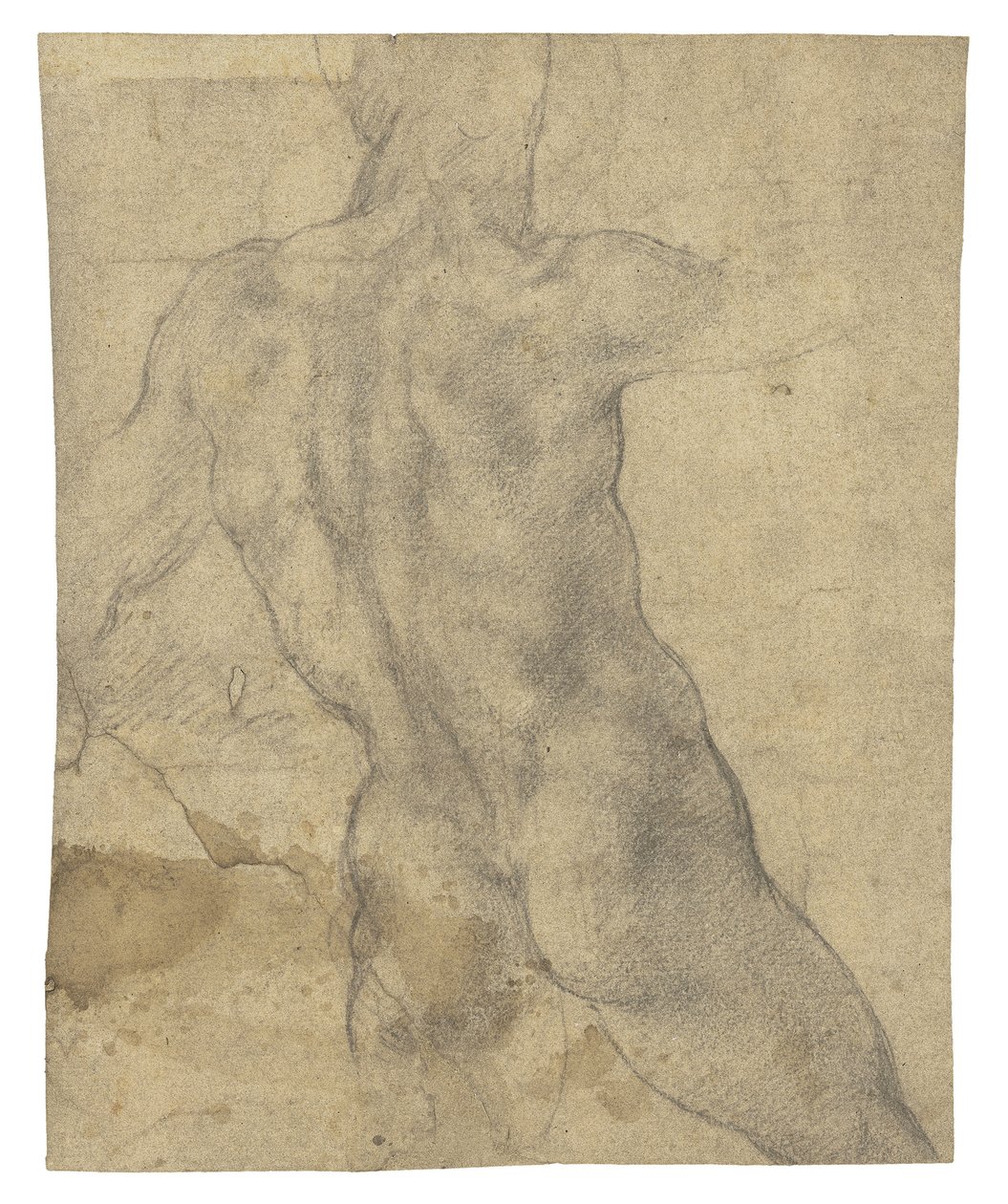 En naken mann sett bakfra av Michelangelo Buonarroti