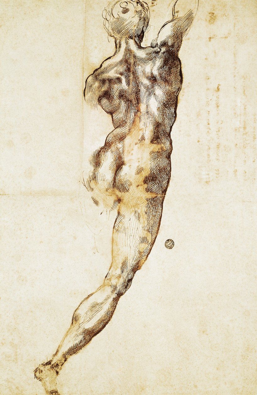 En mannlig naken sett bakfra, studie for slaget ved Cascina, av Michelangelo (1475-1564), tegning. av Michelangelo Buonarroti