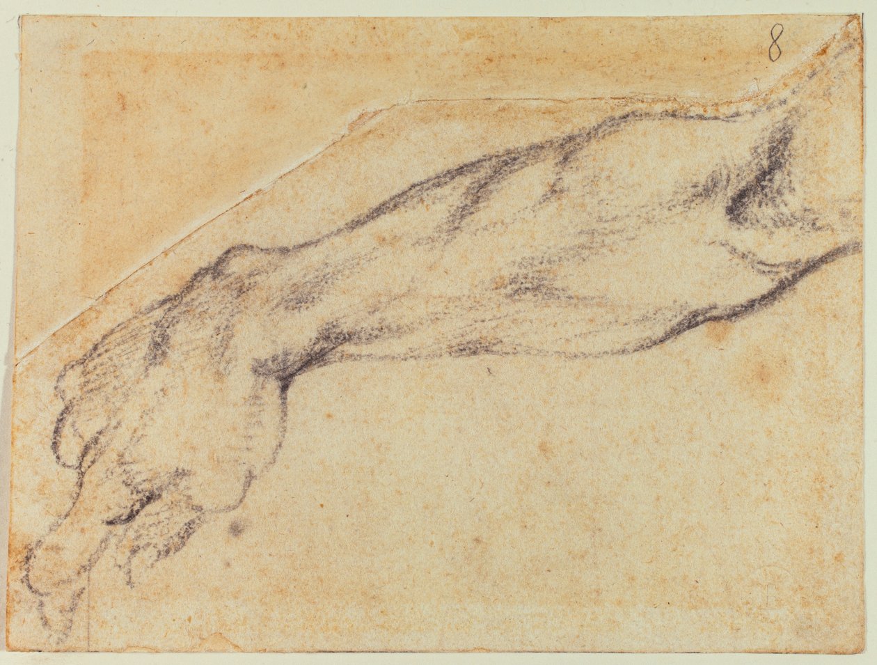  av Michelangelo Buonarroti