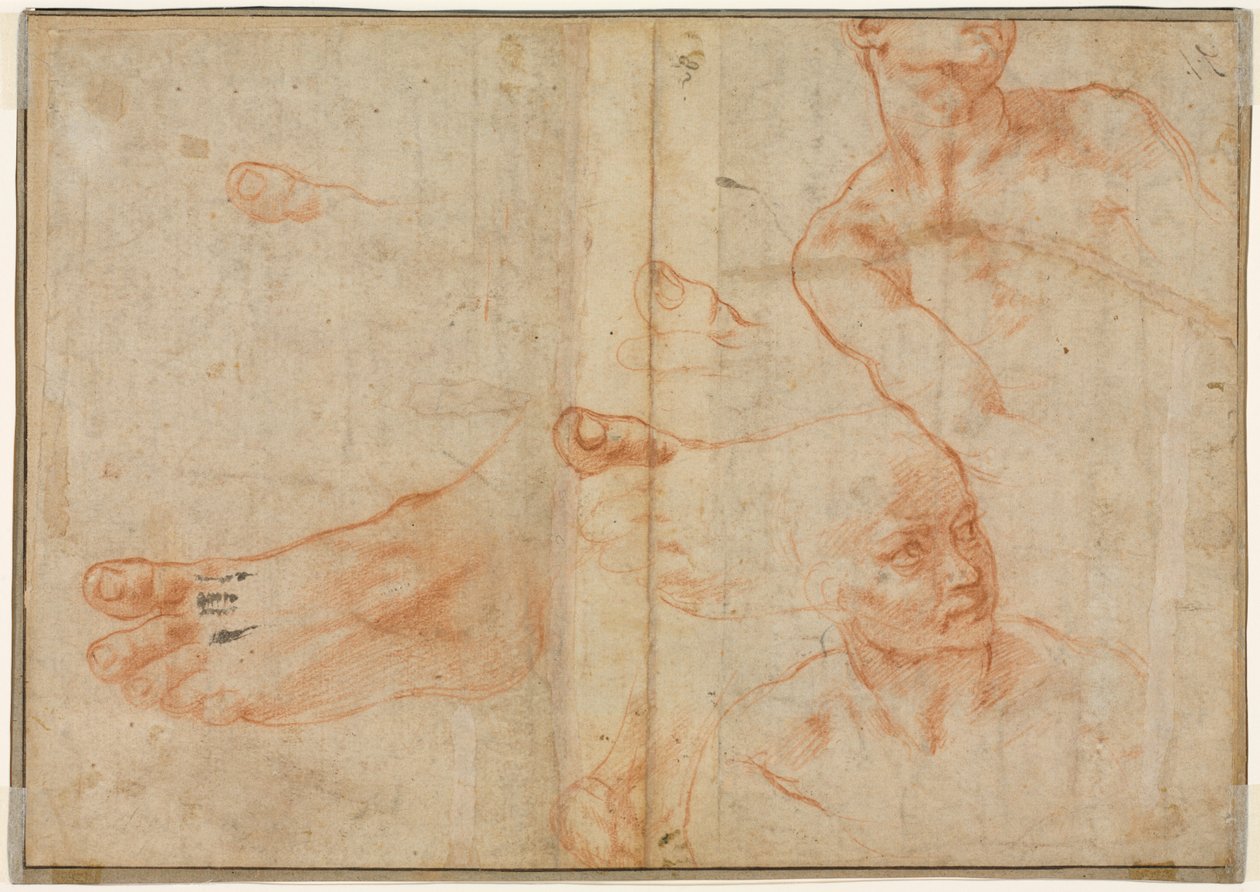Figurstudier for det sixtinske taket (verso) av Michelangelo Buonarroti