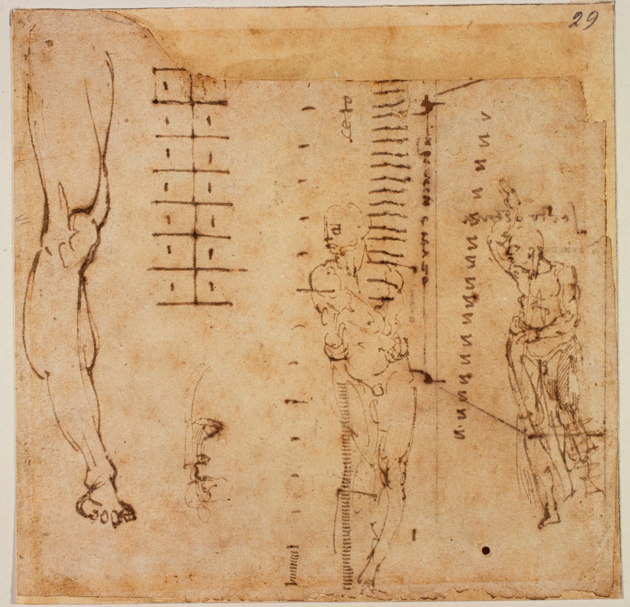  av Michelangelo Buonarroti