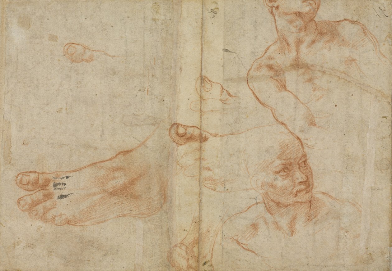 Figurstudier for det sixtinske taket av Michelangelo Buonarroti