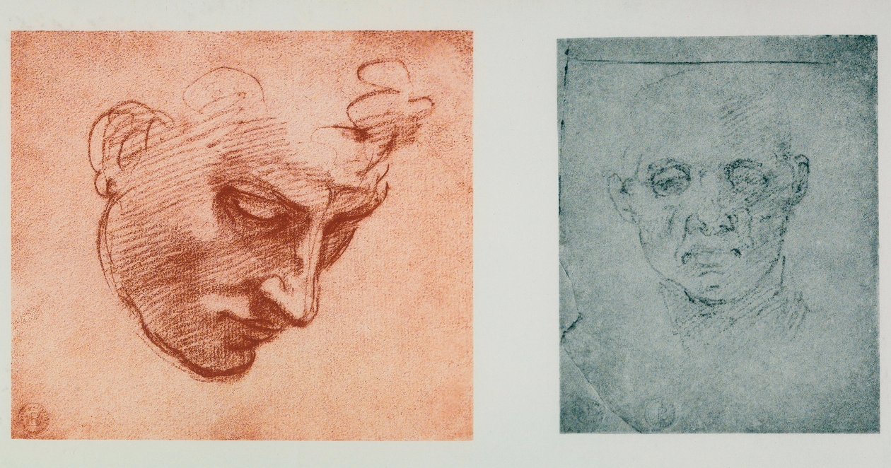 Forfra av et ansikt, og ett i profil; tegninger av Michelangelo. Casa Buonarroti, Firenze av Michelangelo Buonarroti