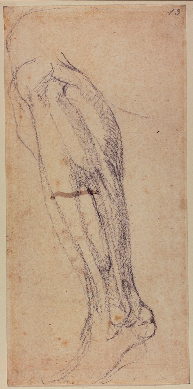  av Michelangelo Buonarroti