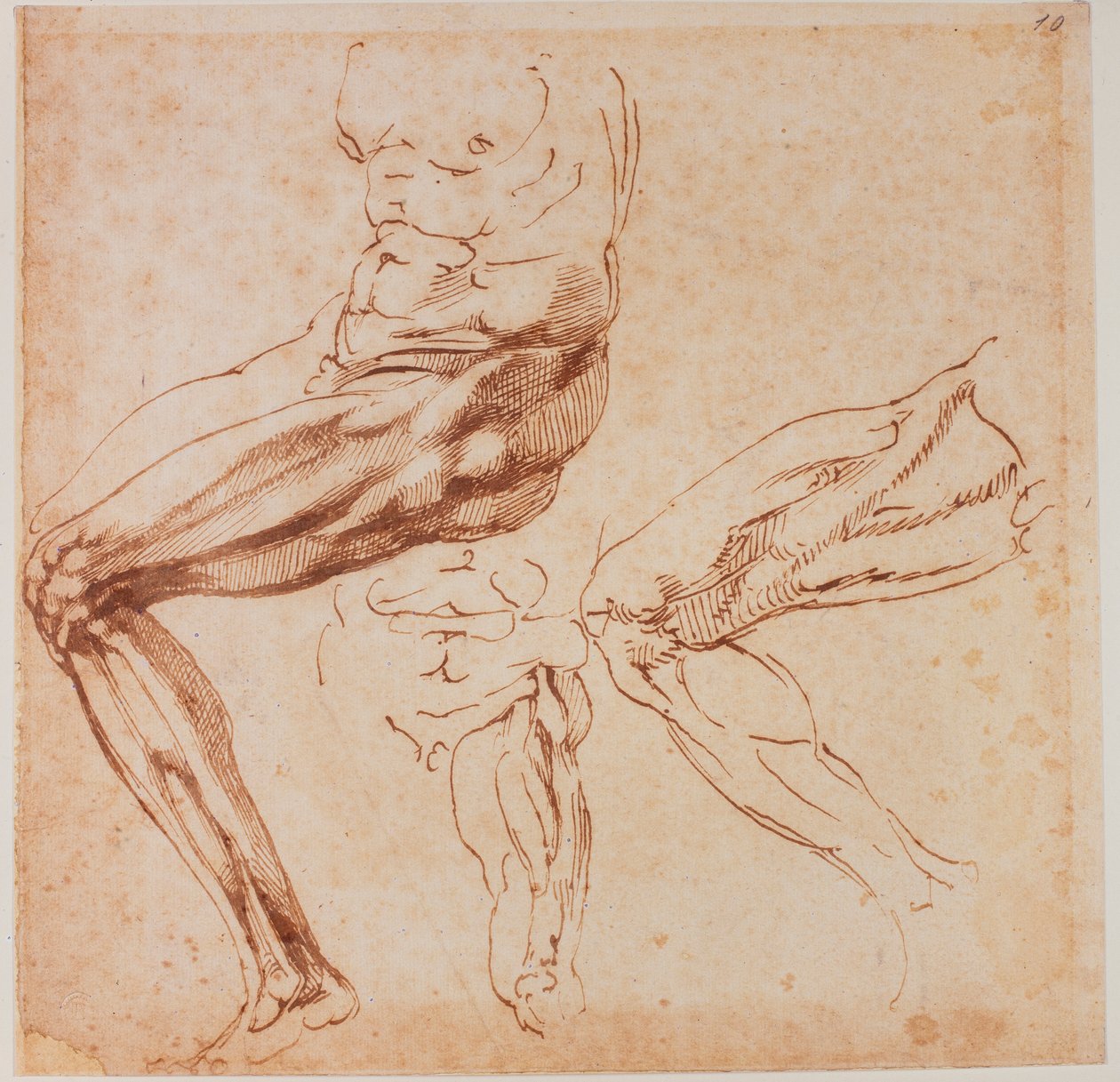  av Michelangelo Buonarroti