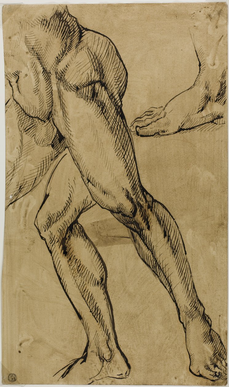 Ben og føtter av naken mann av Michelangelo Buonarroti