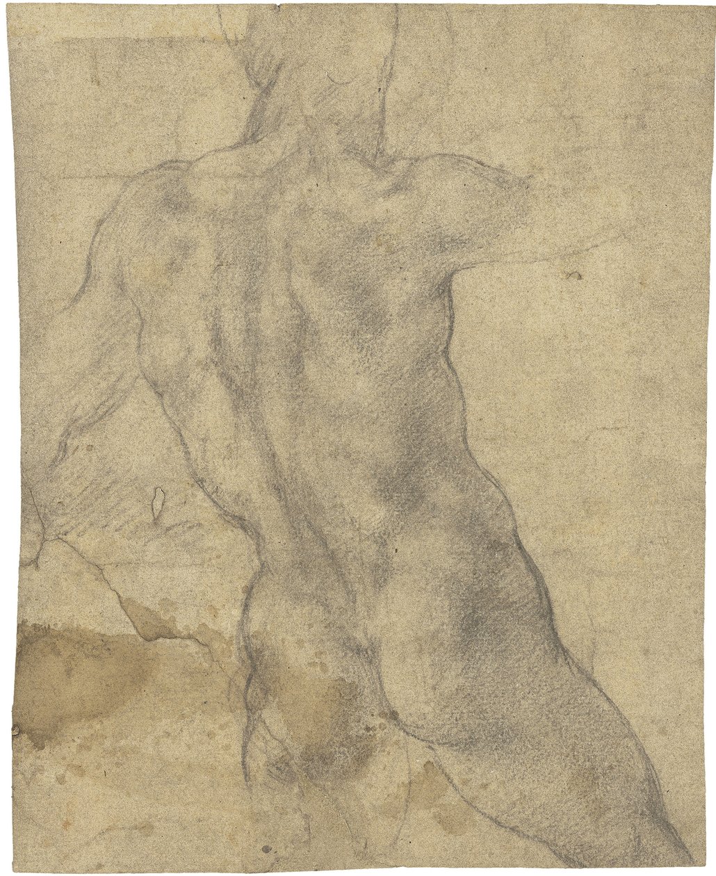 Naken mann av Michelangelo Buonarroti